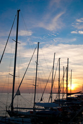 Similar image 1741546