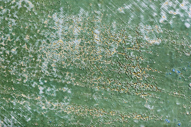 Similar image 1741547