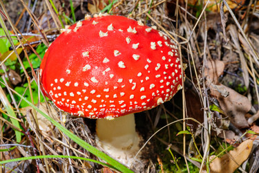 Similar image 1741548