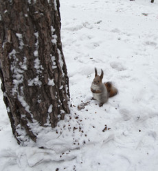 Similar image 1741581