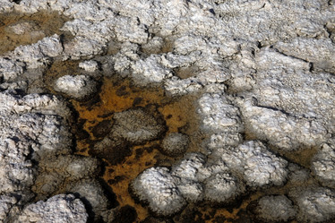 Similar image 1741644