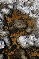 Similar image 1741645