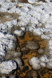 Similar image 1741646