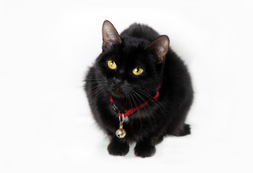 Similar image 1741657