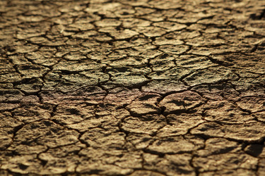 Similar image 1741659