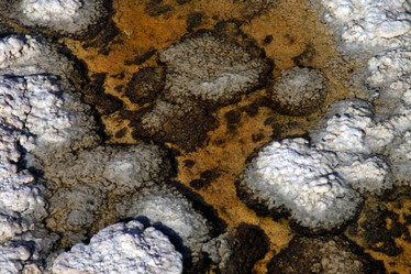 Similar image 1741661