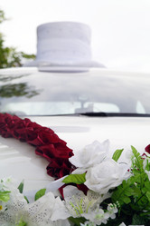 Similar image 1742266