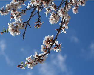 Similar image 1742840