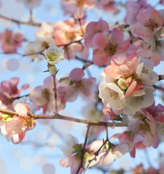 Similar image 1742841