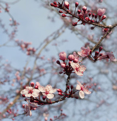 Similar image 1742900