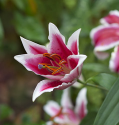 Similar image 1742902