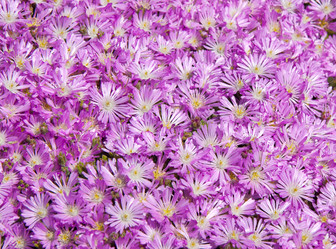 Similar image 1742995