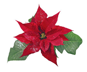 Similar image 1743000