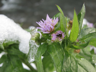 Similar image 1743269