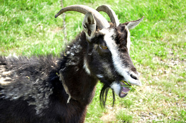 Similar image 1743271