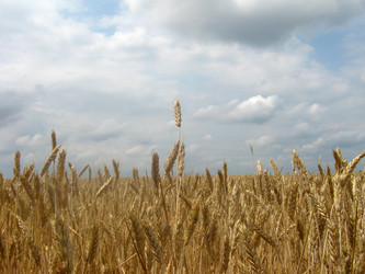 Similar image 1743274