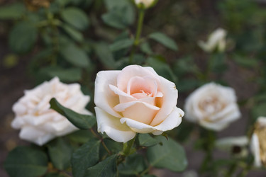 Similar image 1743289