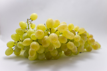 Similar image 1743313