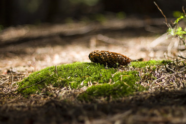 Similar image 1743457