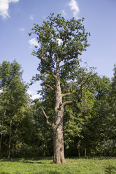 Similar image 1743458