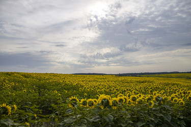 Similar image 1743459