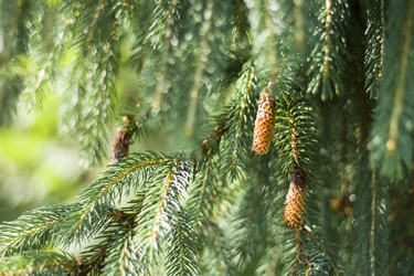 Similar image 1743460