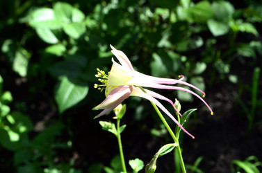 Similar image 1743463