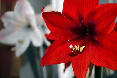 Similar image 1743464