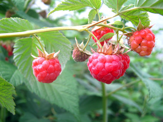 Similar image 1743468