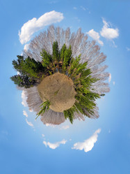 Similar image 1743469