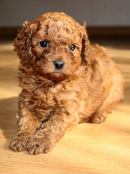 Similar image 1743471