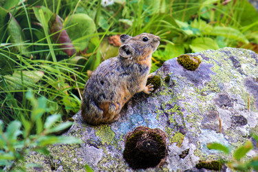 Similar image 1743472