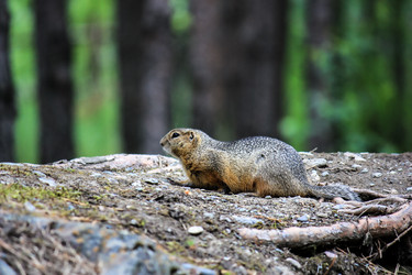 Similar image 1743473