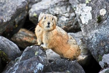 Similar image 1743476