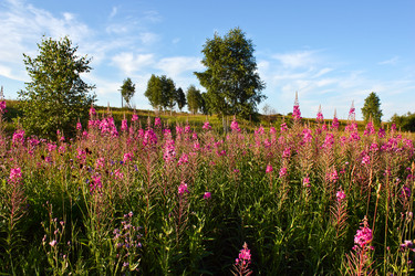 Similar image 1743478