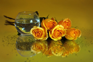 Similar image 1743479