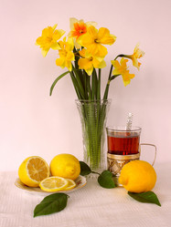 Similar image 1743481