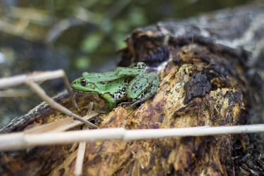 Similar image 1743483