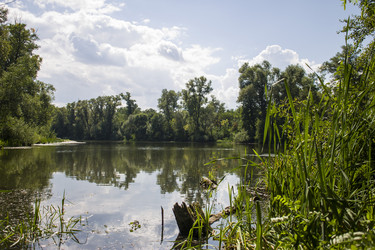 Similar image 1743484