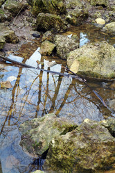 Similar image 1743491