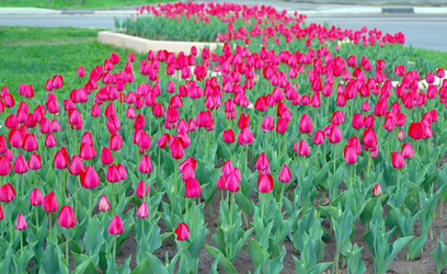 Similar image 1743493