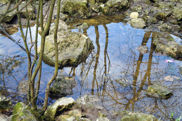 Similar image 1743494