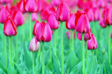 Similar image 1743495