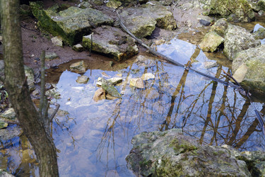 Similar image 1743496