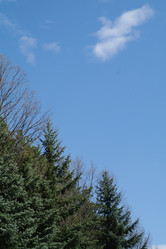 Similar image 1743500