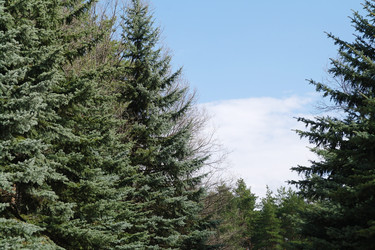 Similar image 1743501