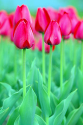 Similar image 1743502