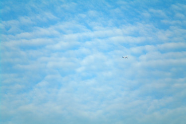 Similar image 1743503