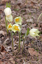 Similar image 1743514