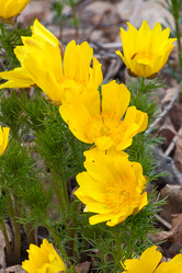 Similar image 1743515